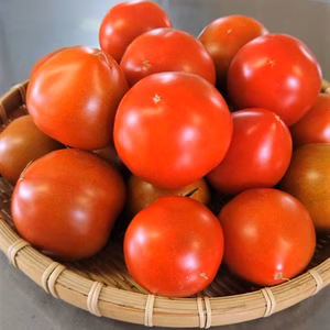 里山村の絶品フルティカトマト