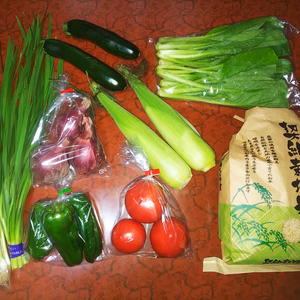 【山都町直送！！】野菜セット　Mサイズ