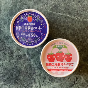 植物工場のいちごフローズンヨーグルトアイスクリーム