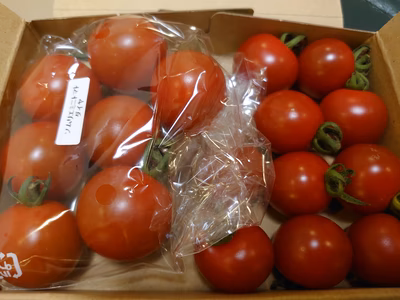 みんなの投稿の画像