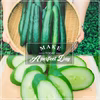【数量限定】『やみつき』きゅうり！農薬不使用！つまみに！おやつに！おかずに！