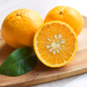 【訳あり】プリっぷりの粒　尾鷲の木成り甘夏(雨夏）5kg