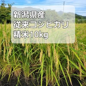 【新米】R4年産 精米10kg 新潟県産従来コシヒカリ 