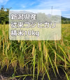 【新米】R4年産 精米10kg 新潟県産従来コシヒカリ 