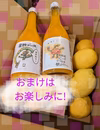 【2023福袋】みかんジュースとレモンセット【農薬不使用】おまけ付き