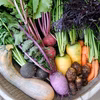 季節の野菜セット