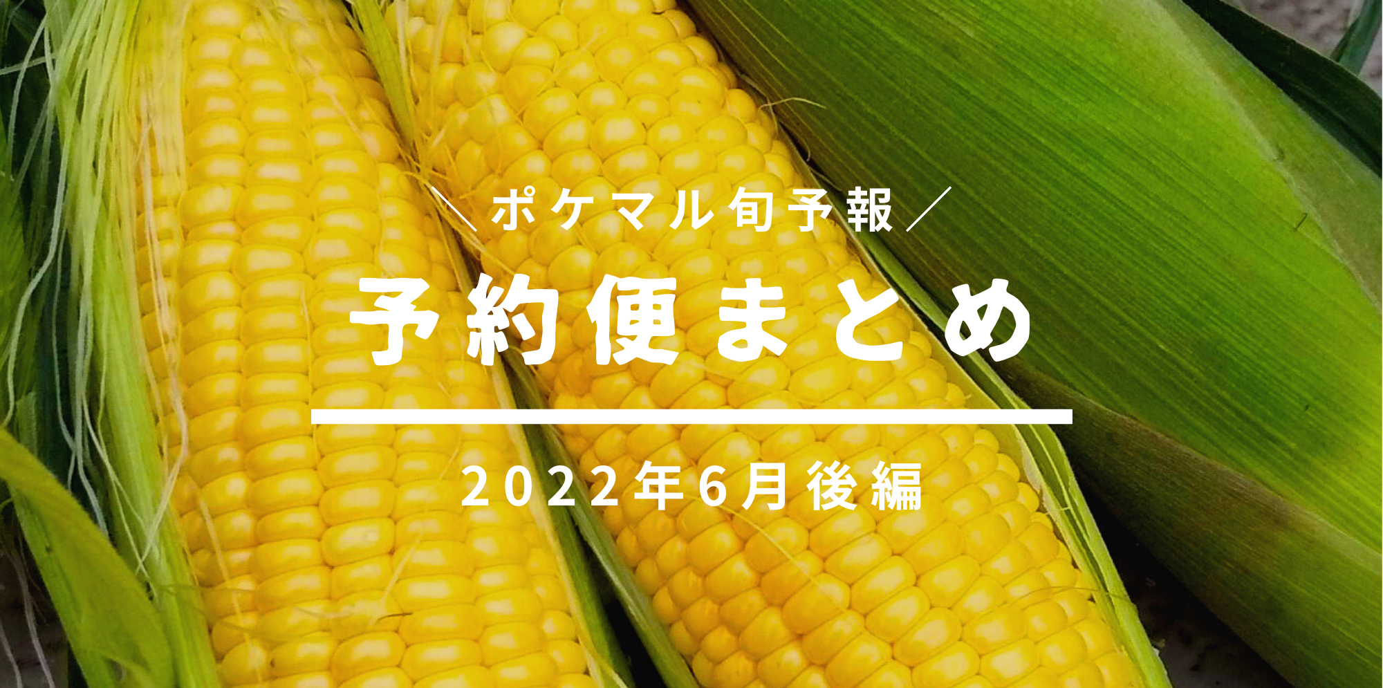 2040円 【SALE／97%OFF】 旬の山菜セット 天然もの 1キロ 5-6種類 長野県産