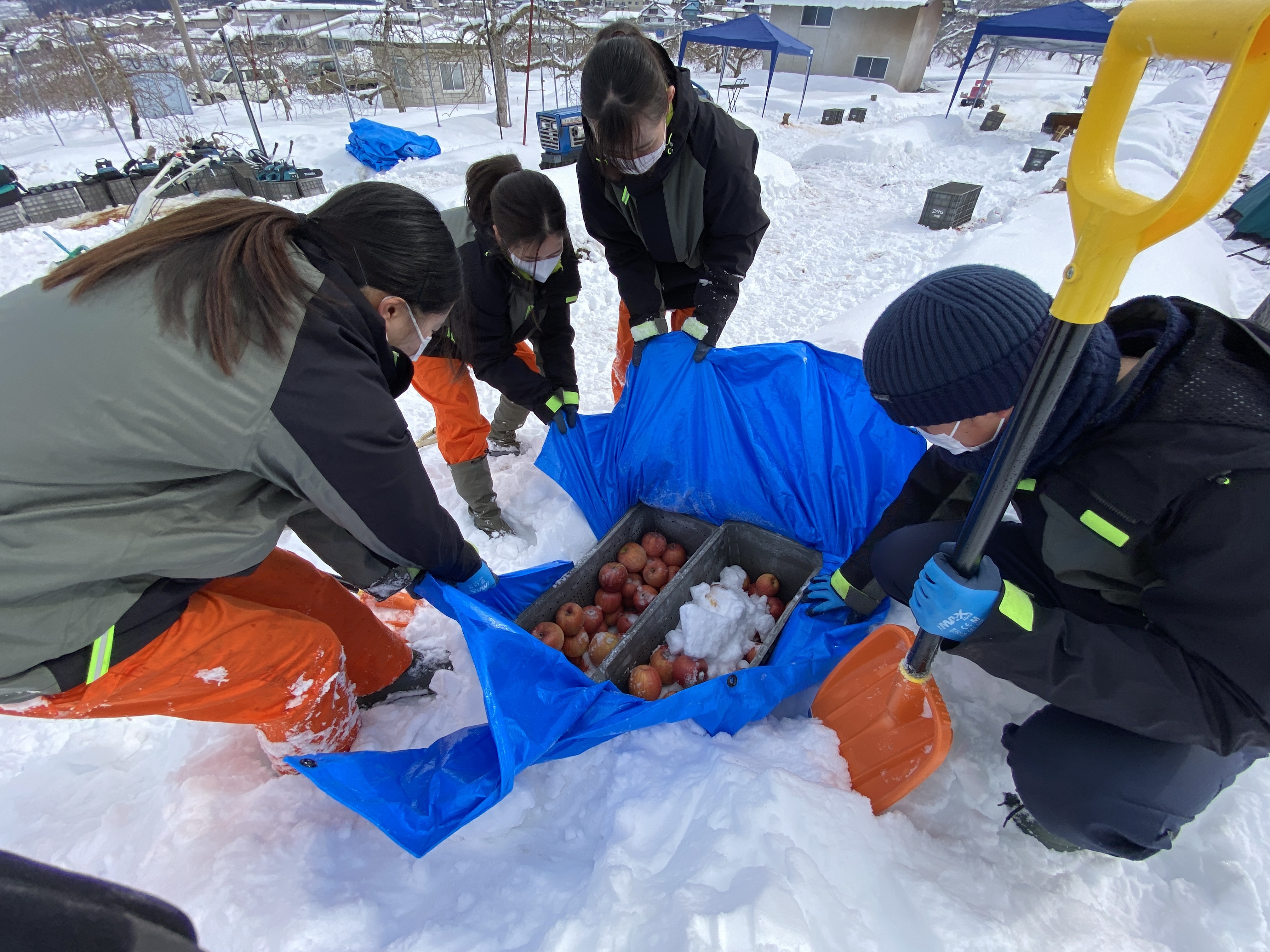 長野県下高井郡山ノ内町｜FARMERs STYLE｜金子博之さんの生産者