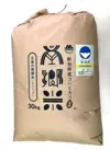 ＊特別栽培米 '隠れたお米の名産地' 新潟県五泉産コシヒカリ「南郷米」玄米
