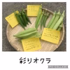 季節の野菜のおまかせセット！！