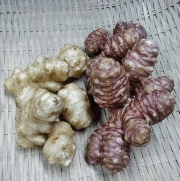 [なゆた農場]紅白菊芋食べ比べセット