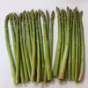 《お試し》春芽アスパラガス　訳あり500g
