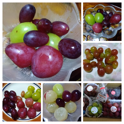 みんなの投稿の画像