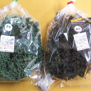 淡路島AwajicHorrorGardenケール3種+αのセット！