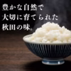 【希少品種】高級 特別栽培米 秋田県産 サキホコレ【特A厳選品】