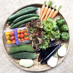 【夏野菜セット・Ver2】7種類の豪華野菜詰合せ