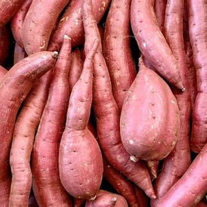 訳ありでもシットリ甘い‼︎「シルクスイート」色々なサイズ入