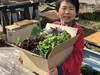 2019！ 信州彩り野菜セット