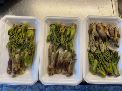 みんなの投稿の画像