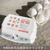【福袋2024】1月1～3日発送❗新年初産❗️元旦白タマゴ36個）