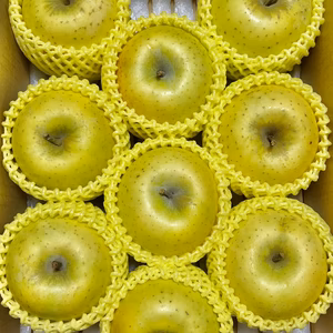 シャキシャキ！サクサク！シナノゴールド 3kg 信州りんご