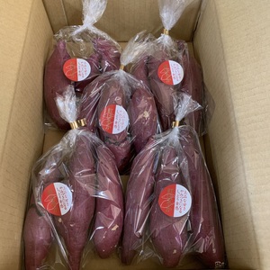甘い さつまいも べにはるか♪ Sサイズ10袋入り