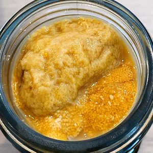 北三陸田野畑産　熟成甘塩ウニ(塩ウニ) 60g