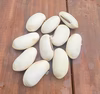 無農薬・無肥料・自家採取の【白なた豆】の種 10粒［奈良県産］
