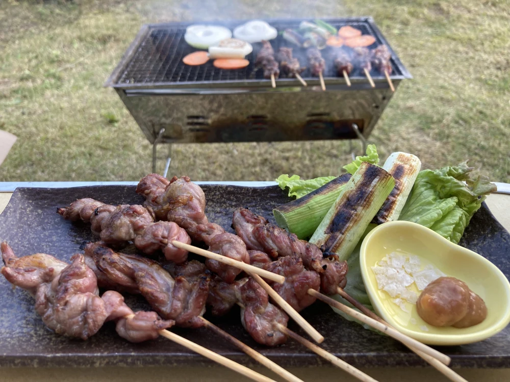 【ささみ・せせり付！】近江鴨(国産合鴨肉）お手軽セット　【冷蔵】