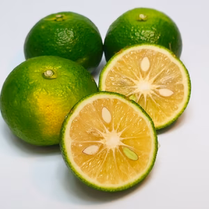 まぼろしの柑橘　直七　