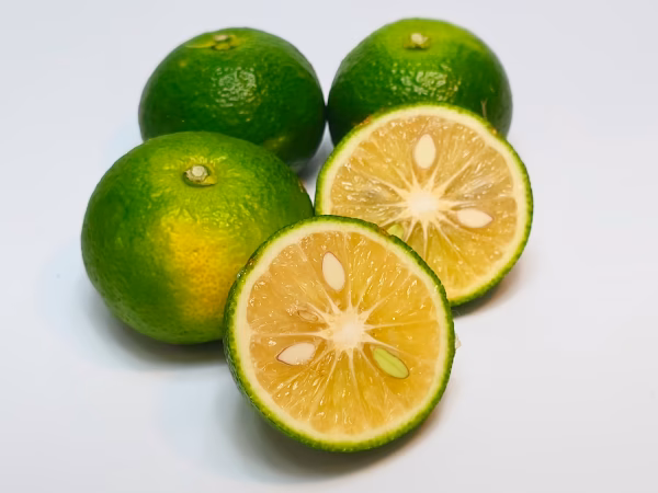 まぼろしの柑橘　直七　