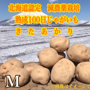 《お待たせしました！》減農薬栽培 じゃがいも【熟成100日きたあかり　Ｍサイズ】