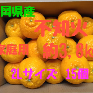 静岡県産　不知火　家庭用　2Lサイズ  約3,8㎏