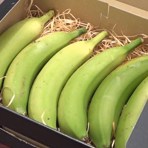 [農薬・化学肥料栽培期中不使用]たかきのバナナ　贈答用箱入　約1kg前後