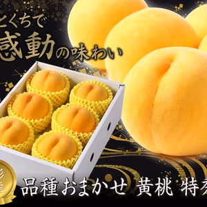 大人気の黄桃！ 9月上旬～9月下旬頃発送　★特秀品★　黄桃　約2㎏
