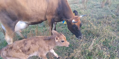 農家さん漁師さんの日常生活を垣間見れるコミュニティ投稿をまとめてみた
