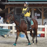 Midori Suzuki-Tsushima