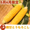 甘い！ハウスで育てたトウモロコシ【ゴールドラッシュ】