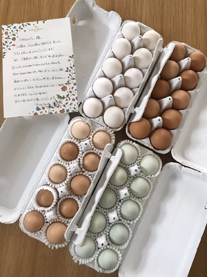 みんなの投稿の画像