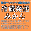 【冷蔵便】 みかん 品種：寿太郎みかん 訳ありみかん 西浦みかん