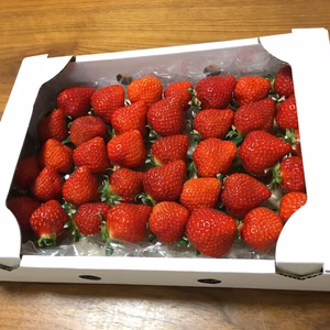 700g　お買い得！朝採り新鮮完熟苺