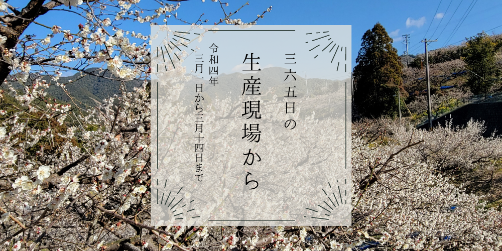 3月1日から14日の生産現場から、春分の31投稿！ 農家漁師から産地直送の通販 ポケットマルシェ