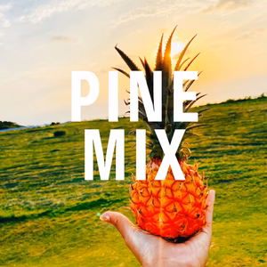 石垣島産【へんなパイン】ボゴール×ピーチ　セット