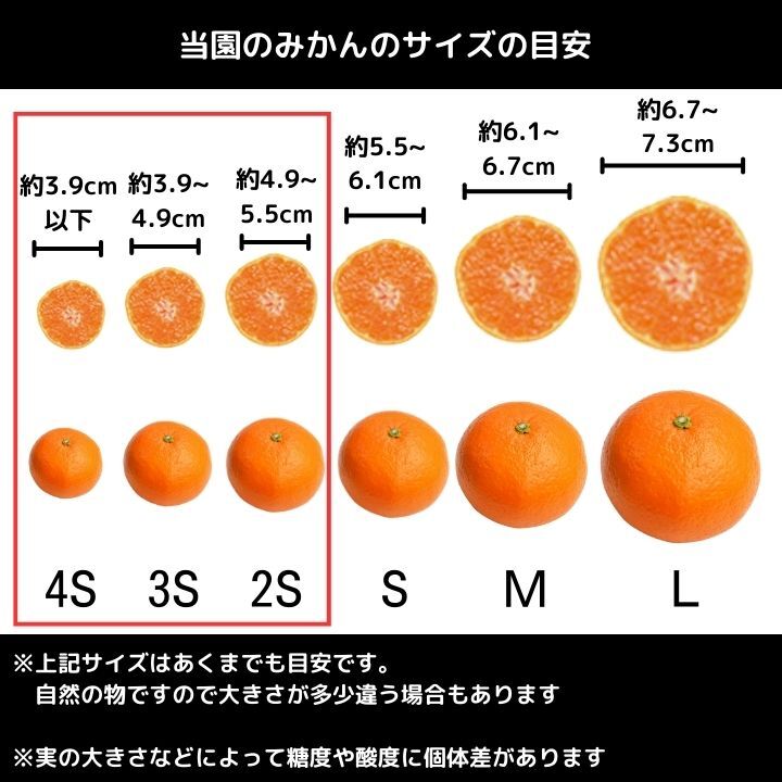 10kgぷかぷかみかん浮き皮の有田みかん訳あり - 果物