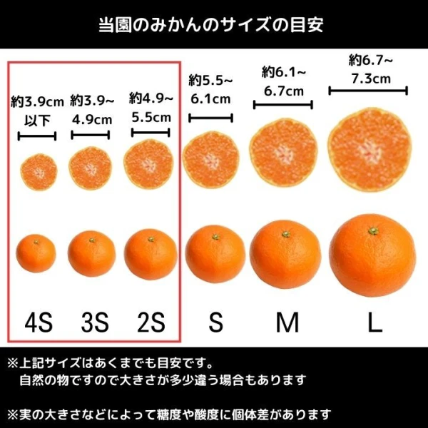 傷あり 小玉 小粒 減農薬 甘い うまい 安いの有田みかん 早生 ss