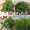 【クリスマスに♪】フレッシュハーブ４種詰め合わせ(B)