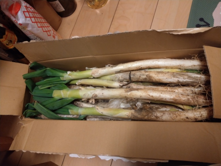 収穫当日に発送 毎日お家で新鮮ネギ３kg２５本 １カ月保存可 農家漁師から産地直送の通販 ポケットマルシェ