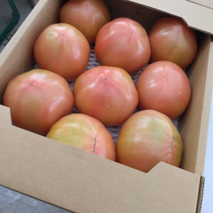 ❤️訳あり❤️【100%純トマト】2キロ箱　桃太郎