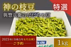 【ポケマルの夏ギフト】【早期予約20％増量中】2023年産特選だだちゃ豆