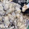 【生食用】三重県産 浦村かき むき身 牡蠣（500g）１袋 
